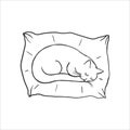 Cute sleeping cat on the pillow. Baby doodle. Coloring Pages. Cartoon character cat, childish outline illustration. Hand Royalty Free Stock Photo