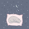 Cute sleeping cat on the pillow. Stars in the night sky, doodle. Cartoon character cat, childish illustration. Hand drawn vector Royalty Free Stock Photo