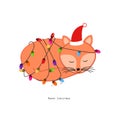 Cute sleeping fox with Christmas light bulbs. Happy new year and merry Christmas greeting card Royalty Free Stock Photo