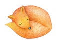 Cute sleeping fox. Royalty Free Stock Photo