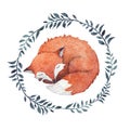 Watercolor sleeping fox