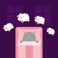 Cute sleeping gray cat. Jumping sheeps. Cant sleep going to bed concept. Counting sheep. Animal set. Blanket pillow room two windo