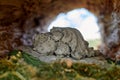 Cute sleeping hedgehog family statue Inside wooden log near green moss