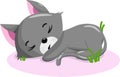 Cute sleeping kitten in the grass Royalty Free Stock Photo