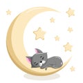 Cute sleeping kitten on the moon Royalty Free Stock Photo