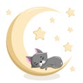 Cute sleeping kitten on the moon