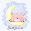 Cute sleeping pig on the moon. Sweet dreams