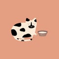 Cute sleeping spotted cat and bowl of milk. Royalty Free Stock Photo