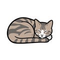 Cute Sleeping Tabby Cat Illustration Royalty Free Stock Photo