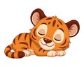 Cute Sleeping Tiger Cub Royalty Free Stock Photo