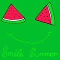 Cute sliced slices watermelon smile,winking, isolated green bac Royalty Free Stock Photo