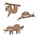 Cute sloth characters for decoration