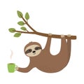Cute sloth hang on twig and holding cup.