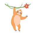 Cute sloth hanging on liana branch. Happy lazy animal waving with paw. Funny slow character smiling and saying hello