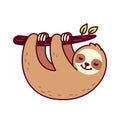 Cute hanging sloth