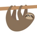 Cute sloth hanging on tree branch icon. Cartoon kawaii baby character. Wild jungle animal collection. Kids education. Isolated. Royalty Free Stock Photo