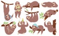 Cute sloth. Happy lazy sloths sleeping, hanging on branch, listening to music. Funny slothful animals in various poses