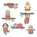 Cute sloth icon set, vector isolated illustration