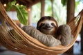 Cute sloth lying in hammock in forest. Generative AI