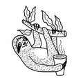 Cute sloth nahging on a tree branch with a cup of hot coffee. Hand drawn, doodle style vector illustration