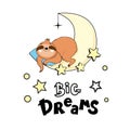 Cute sloth sleeps on the moon and the inscription big dreams on a white background. Vector illustration Royalty Free Stock Photo