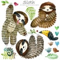 Cute sloth and tropical nature.