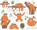 Cute Sloth Vector Collection Set