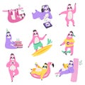 Cute sloths characters. Funny lazy animals do different things, wildlife fauna, branch hanging, yoga class, music listening,