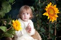 Cute small baby boy in a bunny costume sitting on a armchair with big sunflower around him and curiously looking ahead isolated on Royalty Free Stock Photo