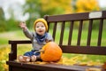 Cute small baby boy sitting near small colourful pumpkin on sunny autumn day. Family time at Thanksgiving