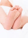 Cute small baby feet. Conceptual image of Maternity Royalty Free Stock Photo