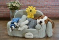 Cute Beagle dog puppy and sofa Royalty Free Stock Photo