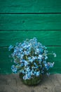 Cute small bouquet of blue garden forget me not flowers in round glass vase on old green wooden background