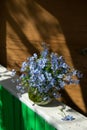 Cute small bouquet of blue garden forget me not flowers in round glass vase on old green wooden background