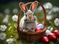 cute small bunny in basket with easter eggs blooming flowers and springtime nature background Royalty Free Stock Photo