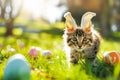 Cute small cat in bunny ears plays with Easter eggs in green grass in garden at sunny spring day Royalty Free Stock Photo