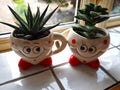 Cute small ceramic planter pots shaped like a couple with cactus