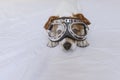 Cute small dog lying on bed and wearing funny aviator goggles. Pets indoors. Fun at home