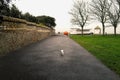 A cute small elderly Jack Russell makes her way up the esplanade off leash looking tiny in her surroundings Royalty Free Stock Photo