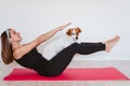 Cute small jack russell dog doing yoga on a mat at home with her owner. Healthy lifestyle indoors Royalty Free Stock Photo