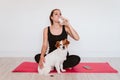 Cute small jack russell dog sitting on a yoga mat at home with her owner woman drinking water. Healthy lifestyle indoors Royalty Free Stock Photo