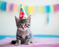 cute small kitten wearing a party hat.