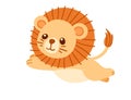 Cute small lion cartoon animal design vector illustration isolated on white background Royalty Free Stock Photo