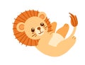 Cute small lion cartoon animal design vector illustration isolated on white background Royalty Free Stock Photo