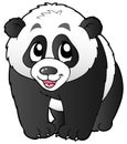 Cute small panda Royalty Free Stock Photo