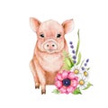 Cute small piglet with flower decor. Watercolor illustration. Hand drawn baby pig with garden spring flowers. Cute farm