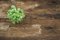 Small plant pot on old table background, above view Royalty Free Stock Photo