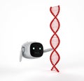 Cute and small robot with dna helix Royalty Free Stock Photo