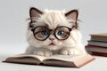 cute smart kitten wearing glasses reading a book, isolated on a white background Royalty Free Stock Photo