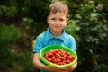 Cute smile boy with basket of strawberry in suummer day. Royalty Free Stock Photo